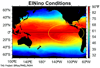 Here, you can see the sea surface  temperatures of the Pacific Ocean during El Nino. Photo courtesy of: noaa.gov
