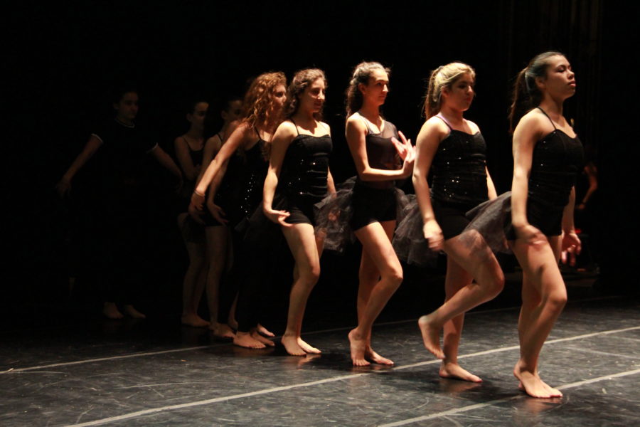 Through the dancers eyes: the process behind Dance Company