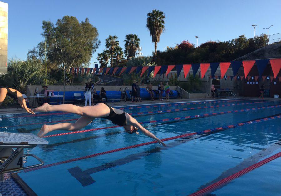 Maggie Curtis dives into the pool at the Brentwood swim meet on March 17. Photo by: JAMIE KIM