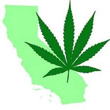 Weed should not be freed in California