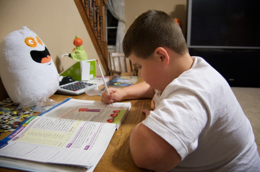Pros and Cons of making homework optional