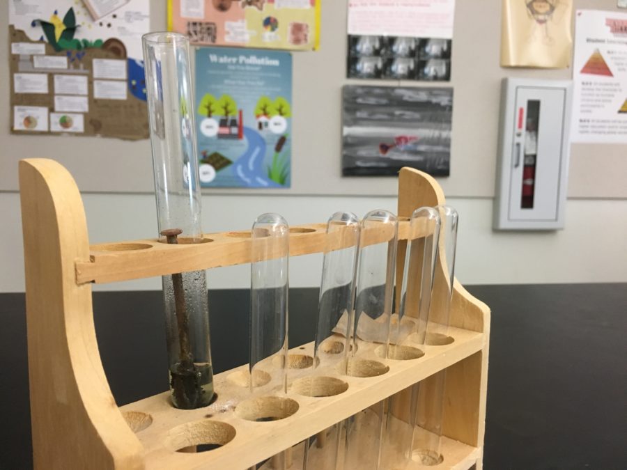 Science Olympiad seeks to recruit more members for next years competition season