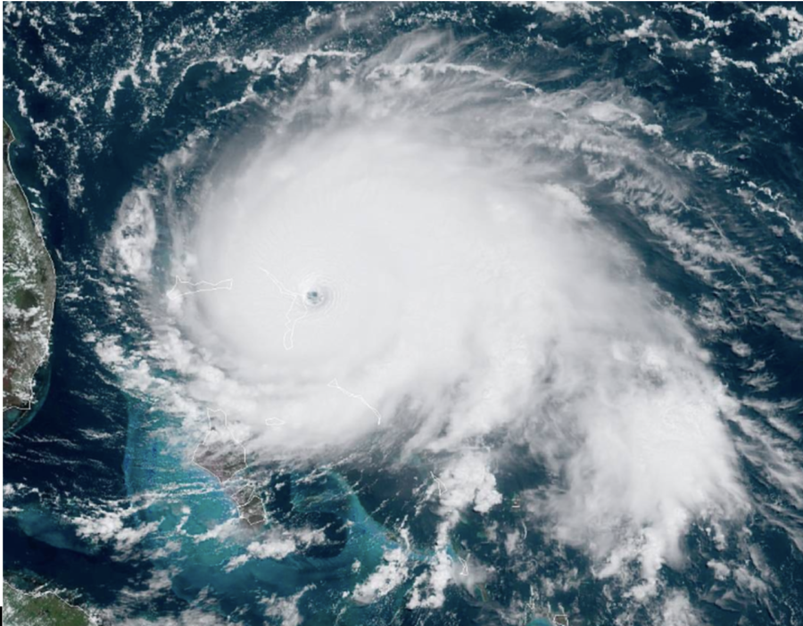 Public domain image
This image shows a satellite view of Hurricane Dorian at peak intensity (Level 5).
