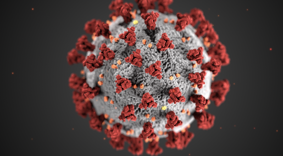 Coronavirus: Public domain image