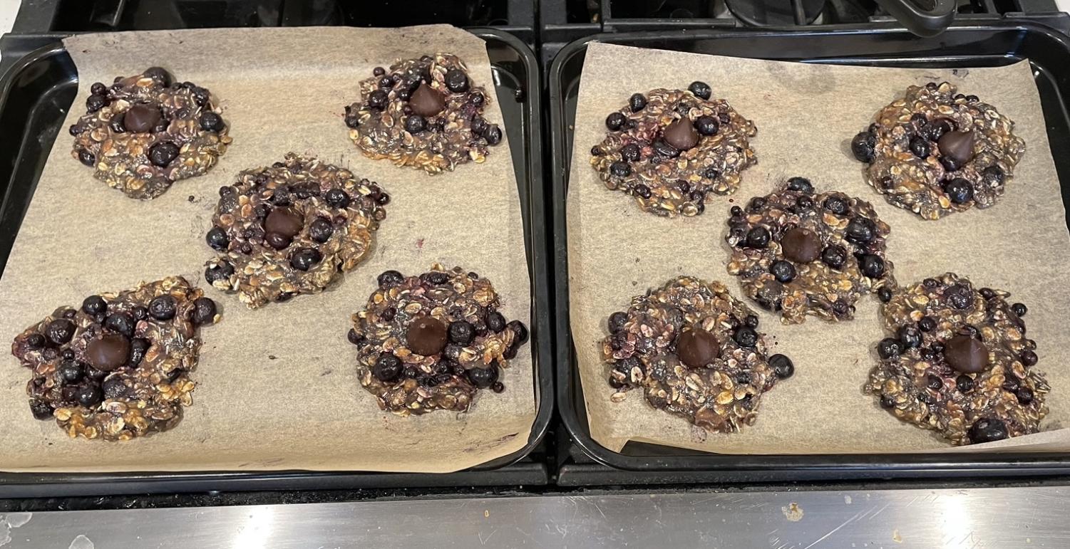 An+interesting+cookie+recipe%3A+oatmeal-blueberry-cinnamon-chocolate+cookies