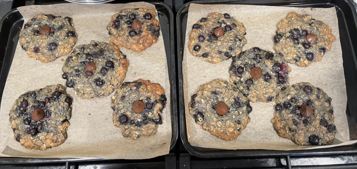 An+interesting+cookie+recipe%3A+oatmeal-blueberry-cinnamon-chocolate+cookies