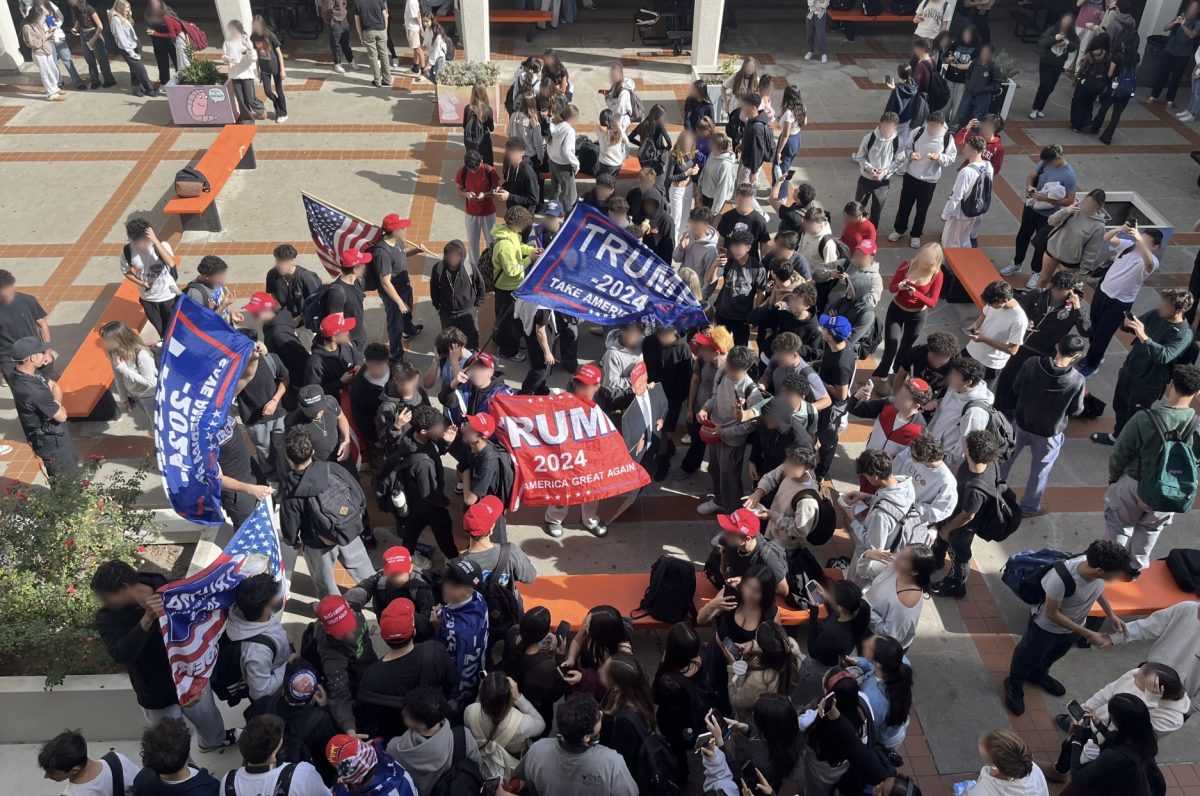 Students rally after Election Day results.